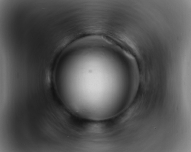 X0000092260115200709211126