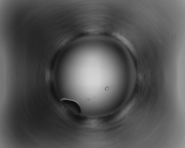 X0000092260117200709211126