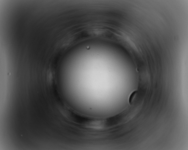 X0000092260126200709211126