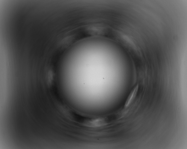 X0000092260130200709211126