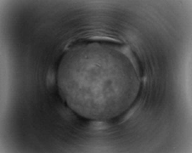 X0000092260139200709211126