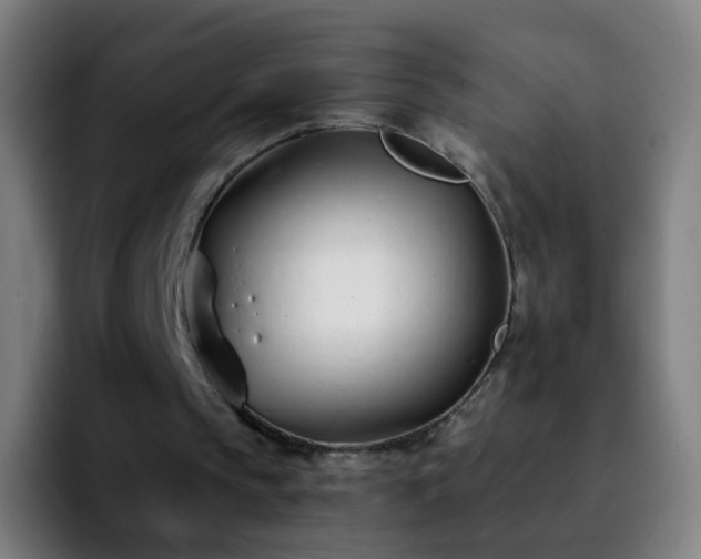 X0000092260145200709211125