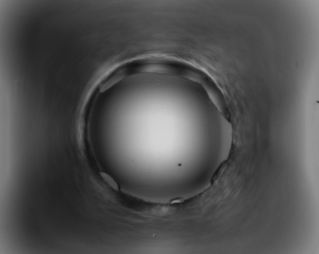 X0000092260152200709211125