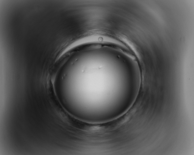 X0000092260153200709211125