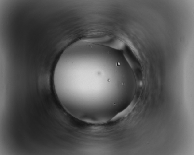 X0000092260154200709211125