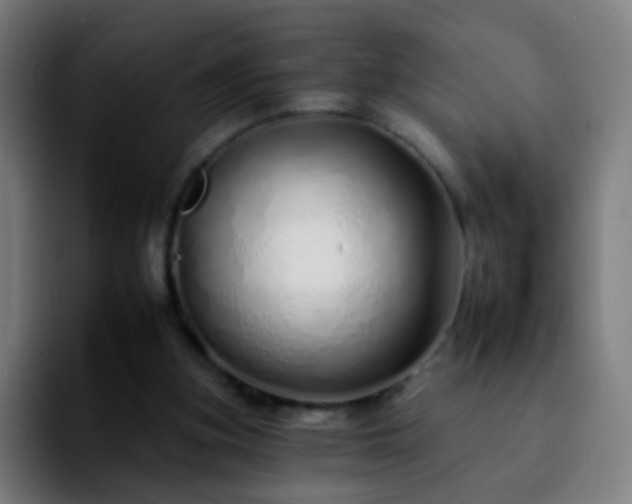 X0000092260155200709211125