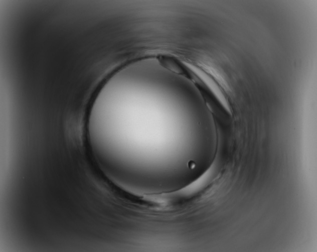 X0000092260156200709211125