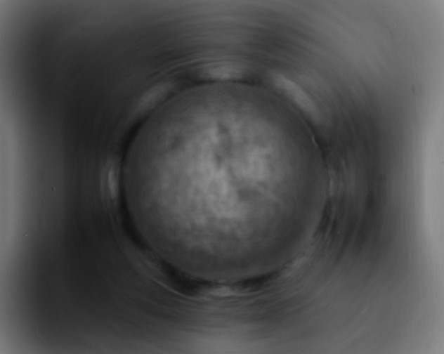 X0000092260163200709211125