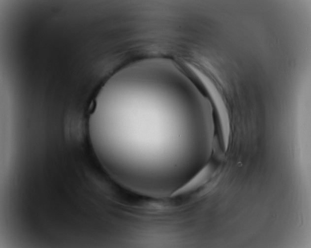 X0000092260164200709211125