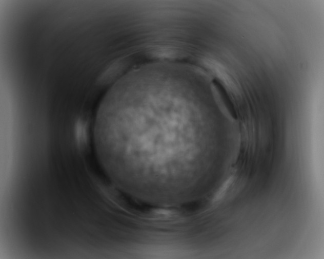 X0000092260167200709211125