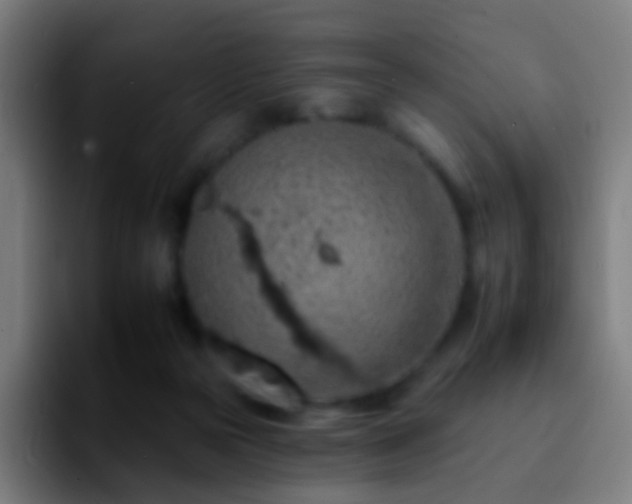 X0000092260169200709211125