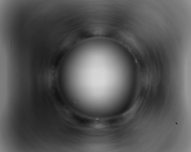 X0000092260175200709211125