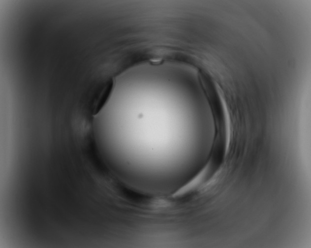 X0000092260176200709211126