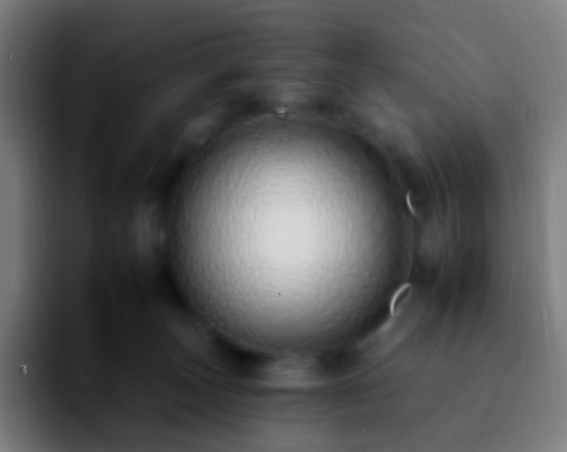 X0000092260179200709211126