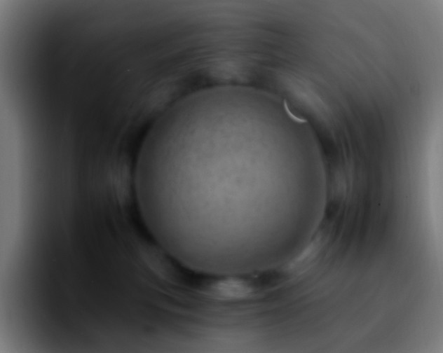 X0000092260183200709211126