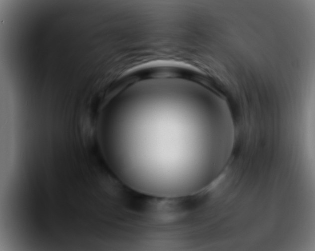 X0000092260186200709211126