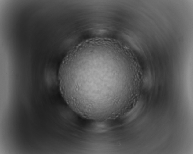 X0000092260187200709211126