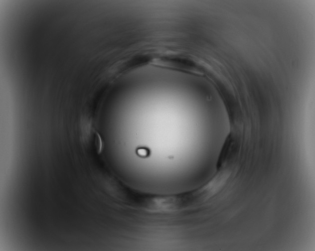 X0000092260188200709211126