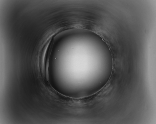 X0000092260194200709211125