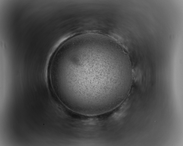 X0000092260196200709211125