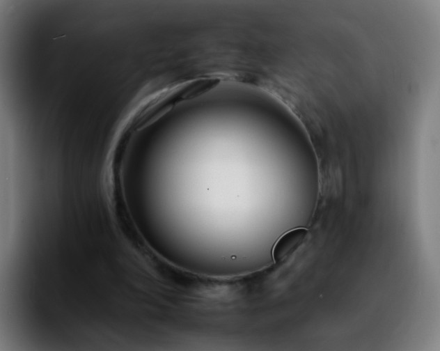 X0000092260198200709211125