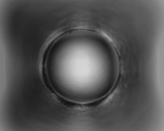 X0000092260199200709211125