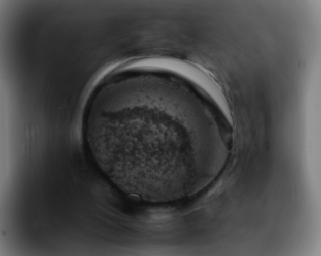 X0000092260200200709211125