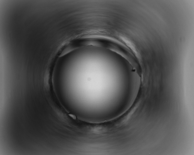 X0000092260201200709211125