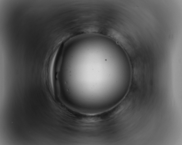 X0000092260202200709211125