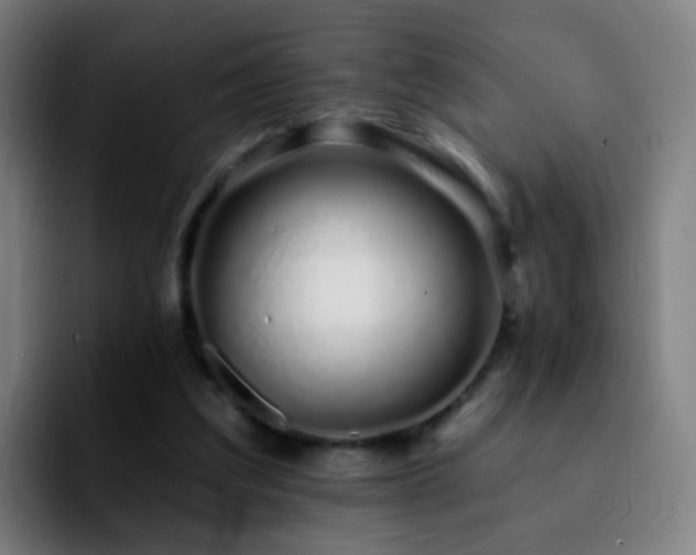 X0000092260203200709211125