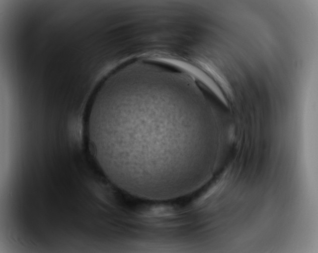 X0000092260204200709211125