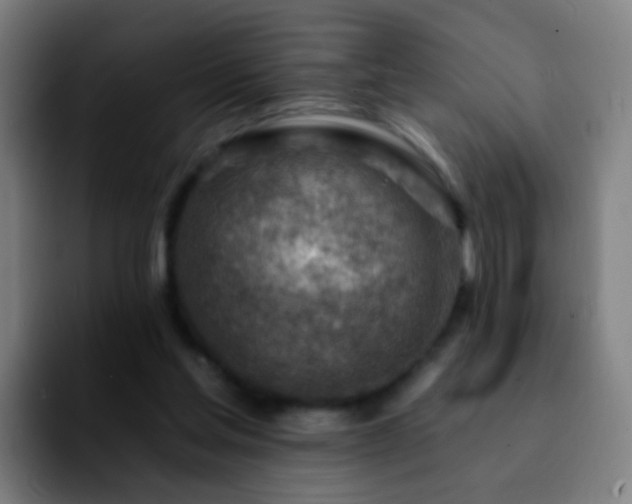 X0000092260205200709211125