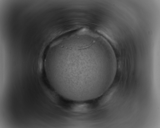 X0000092260206200709211125