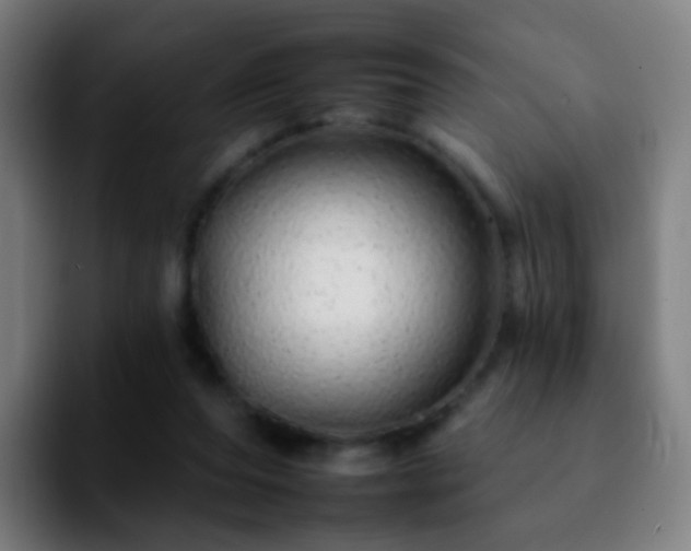 X0000092260208200709211125