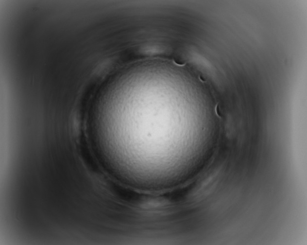 X0000092260210200709211125