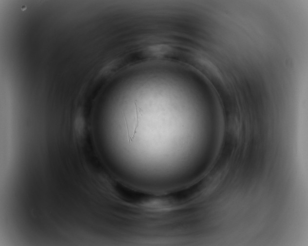 X0000092260220200709211125