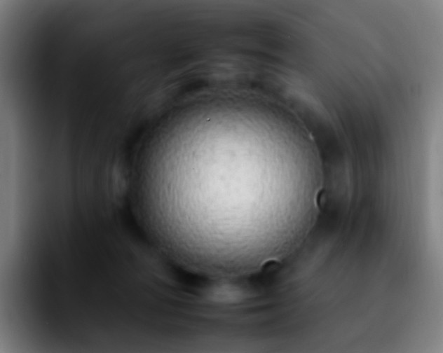 X0000092260226200709211125