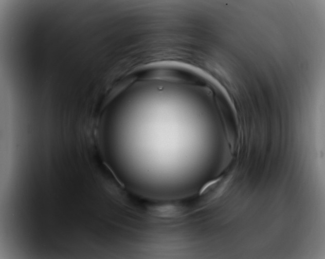 X0000092260237200709211125