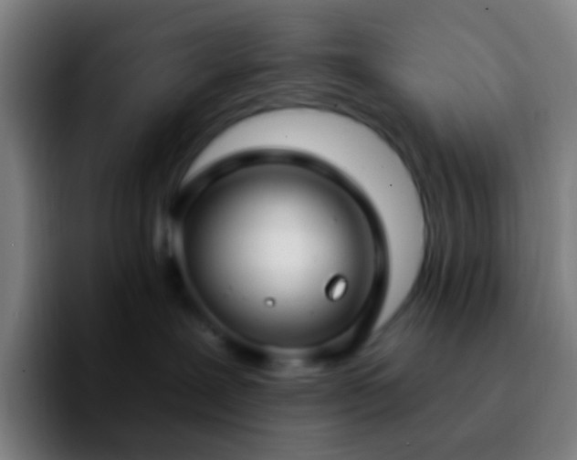 X0000092260239200709211125