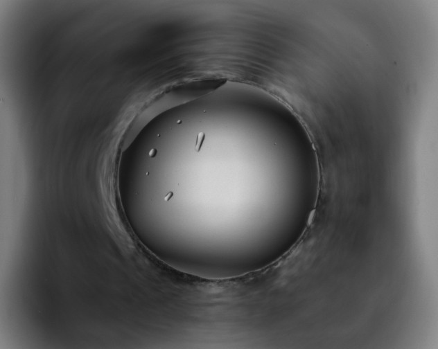 X0000092260241200709211124