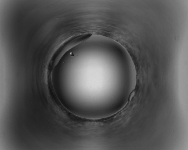 X0000092260242200709211124