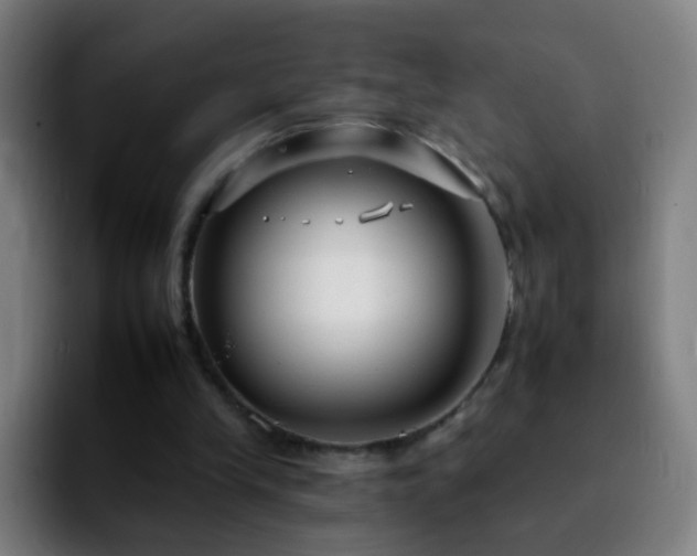 X0000092260245200709211124