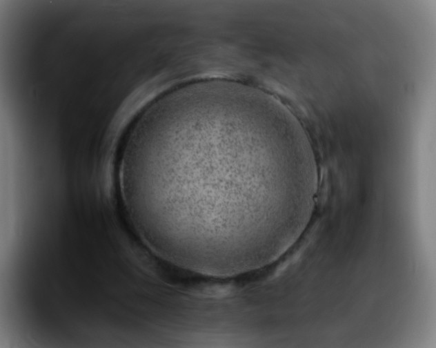 X0000092260247200709211124