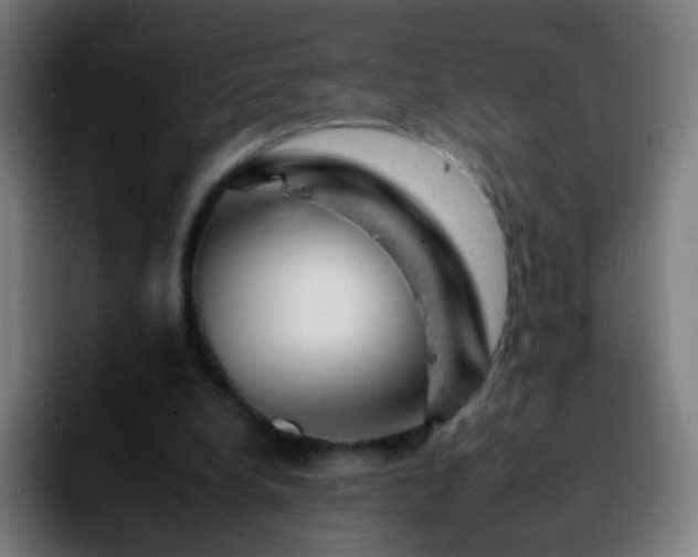 X0000092260248200709211124