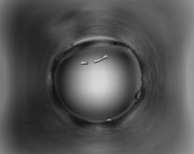 X0000092260254200709211124