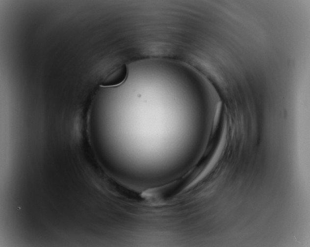 X0000092260255200709211124