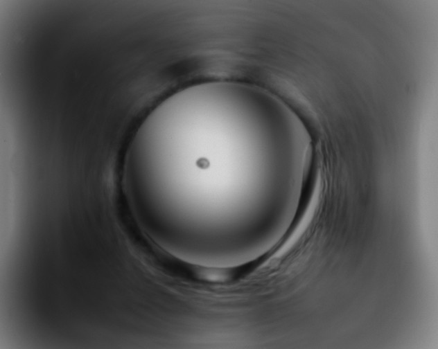 X0000092260256200709211124