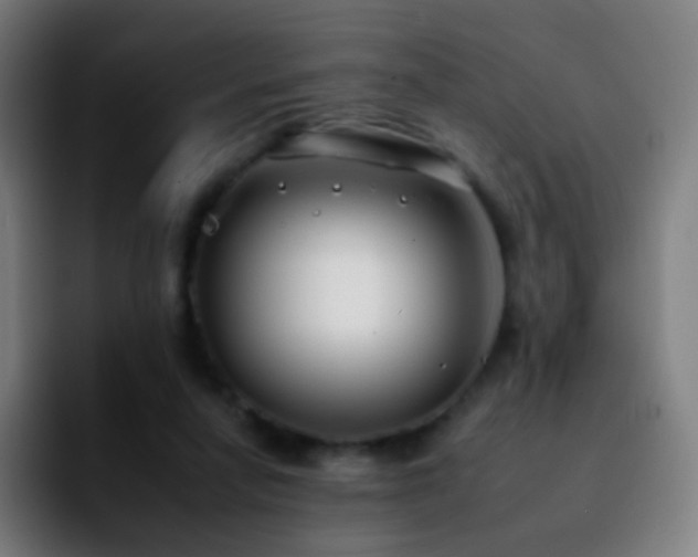 X0000092260258200709211124