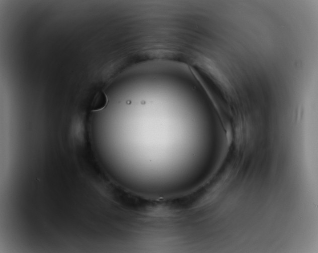 X0000092260259200709211124