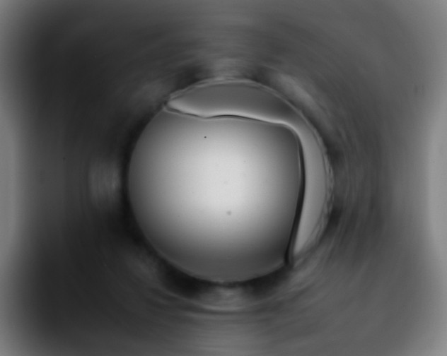 X0000092260260200709211124